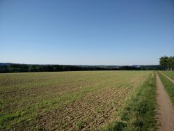 Ehrbachklamm: Blick über die Oppenhausener Felder