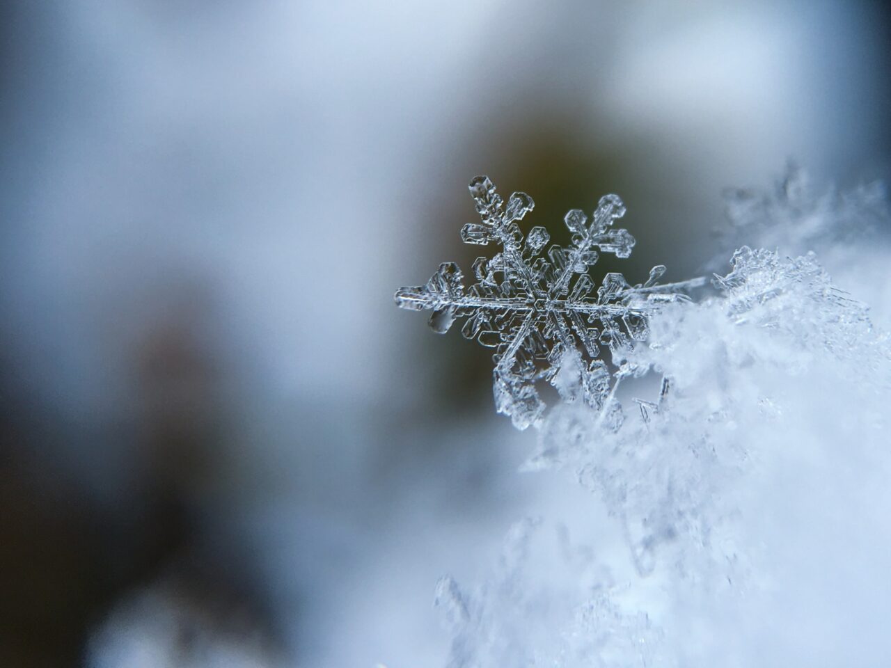 Snowflake in close-up
